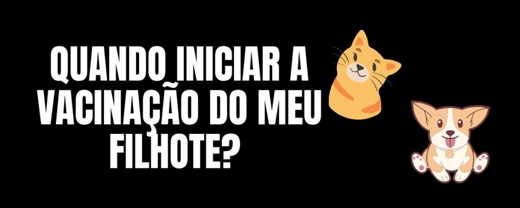 QUANDO INICIAR A VACINAÇÃO DO MEU FILHOTE?