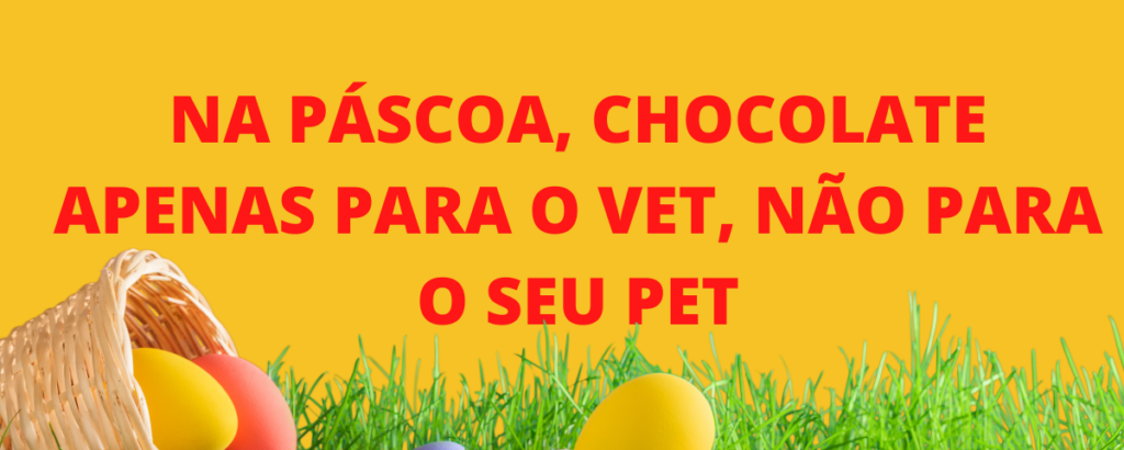 NA PÁSCOA, CHOCOLATE APENAS PARA O VET, NÃO PARA O SEU PET