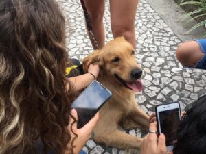 Aubraço foi realizado dentre as atividades da campanha do Setembro Amarelo