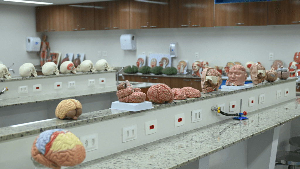 Medicina Fametro: Norte é a região com menor número de médicos no Brasil