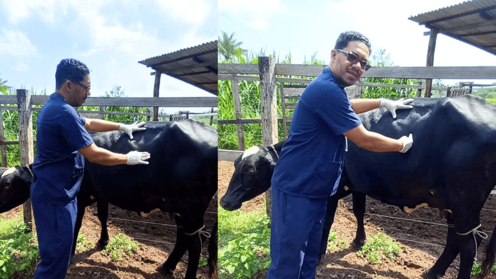Finalistas do Curso de Medicina Veterinária realizam última aula prática de campo do ano em Manacapuru