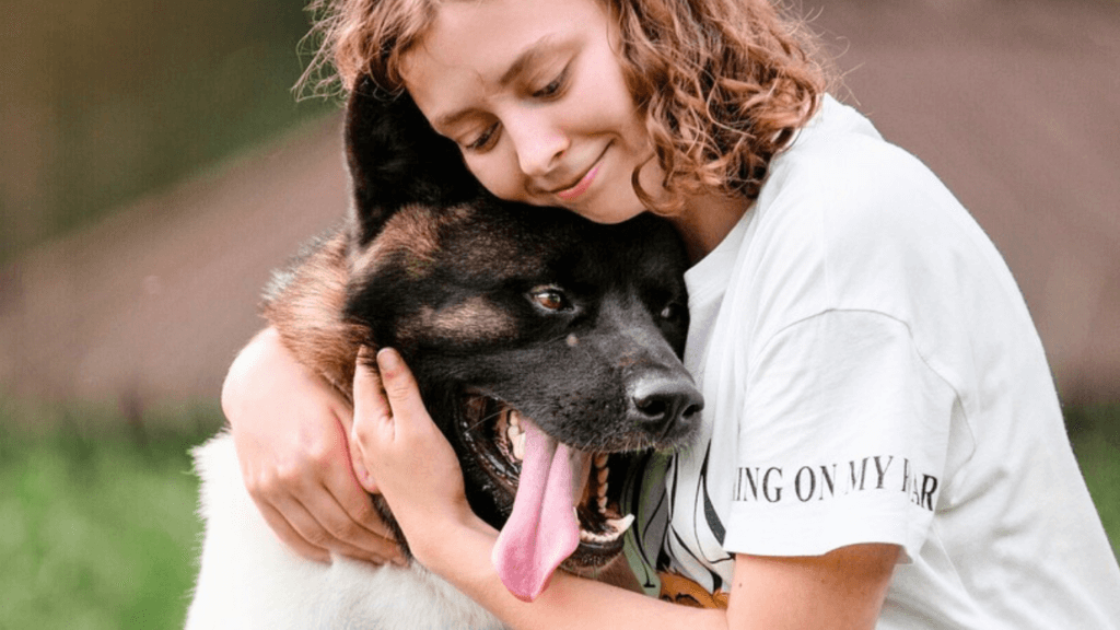 Dezembro Verde: combate ao abandono e à crueldade animal ganha destaque no fim de ano