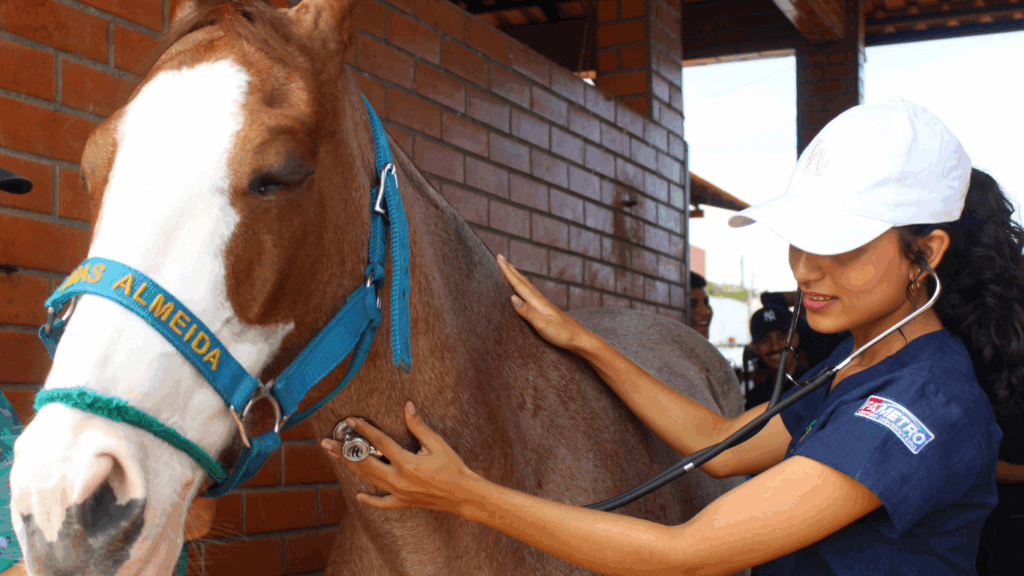 Medicina Veterinária em ação: Estudantes do Centro Universitário Fametro realizam prática clínica em Haras Almeida