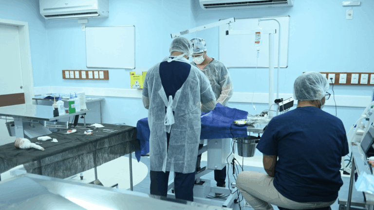 Campanha de Castração para cães e gatos segue até 12 de setembro na Casa Fametro