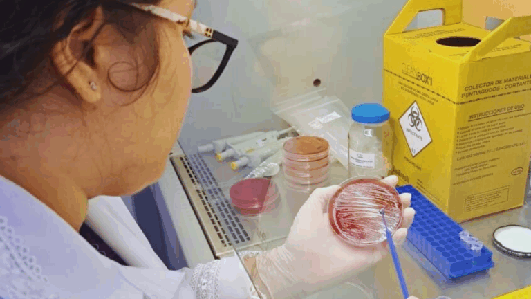 Sucesso Acadêmico: Alunos de Biomedicina da Fametro Leste são aprovados em Programas de Mestrado na UEA/Hemoam e UFAM